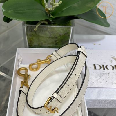 Túi Dior Lady yên ngựa màu trắng Rep 1:1 da sần Hàng Hiệu DR102 12 tui dior lady mau trang yen ngua rep 1 1 (1)