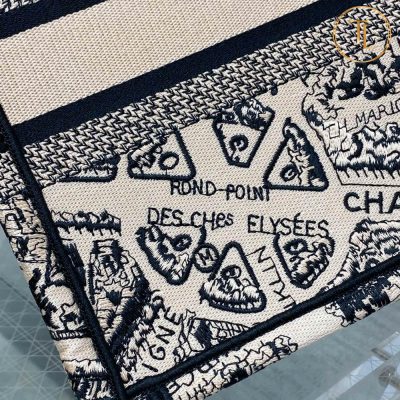 tui xach christian dior tote hoa tiet (2)