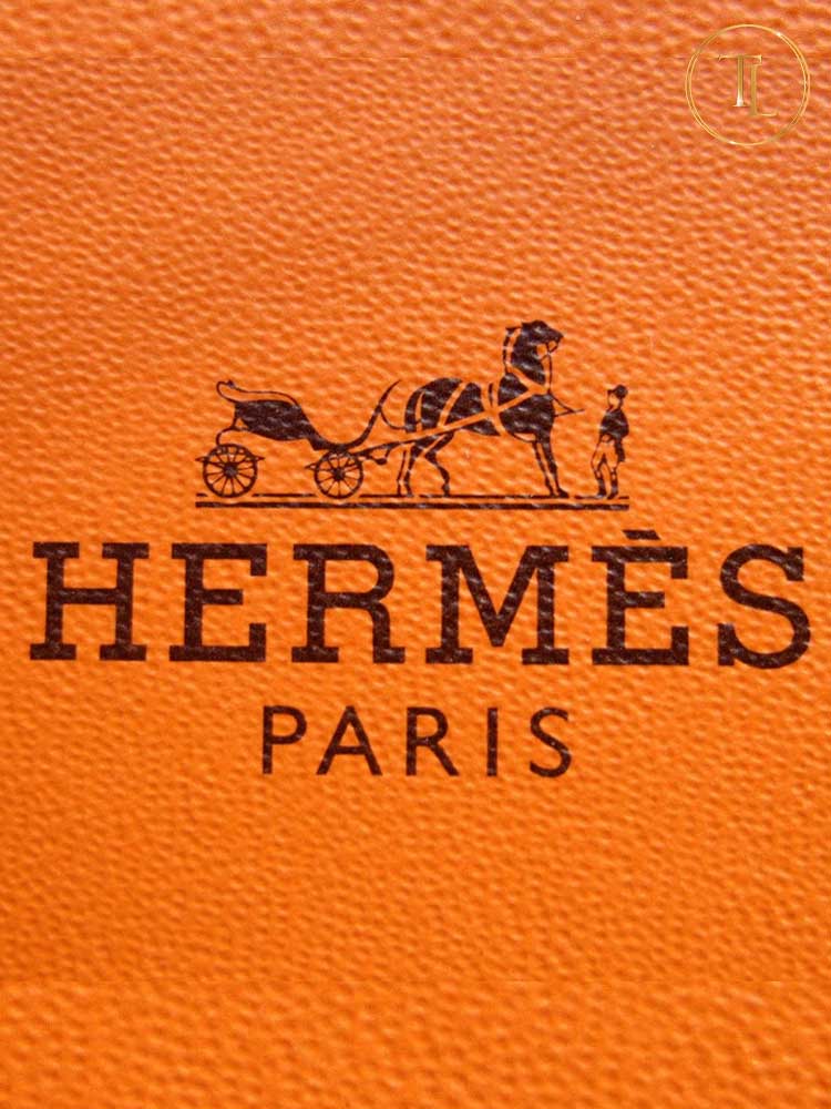 Logo Hermes Logo Hermes