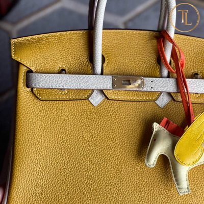 tui hermes rep 1 1 birkin mau vang (3)